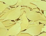 Brass Quail